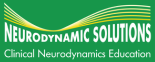 Neurodynamic Solutions